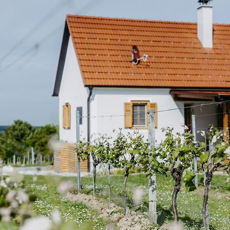 Urlaub Im Kellerstoeckl Dunst Apartment Strem Cameră foto