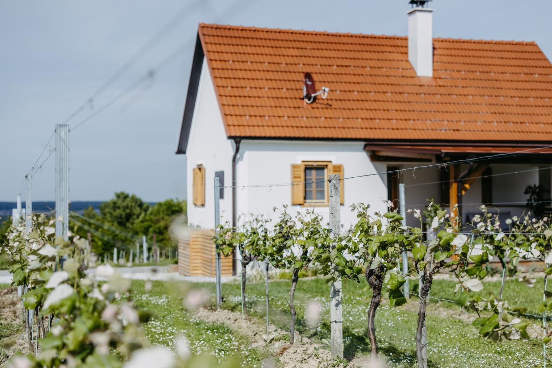 Urlaub Im Kellerstoeckl Dunst Apartment Strem Cameră foto