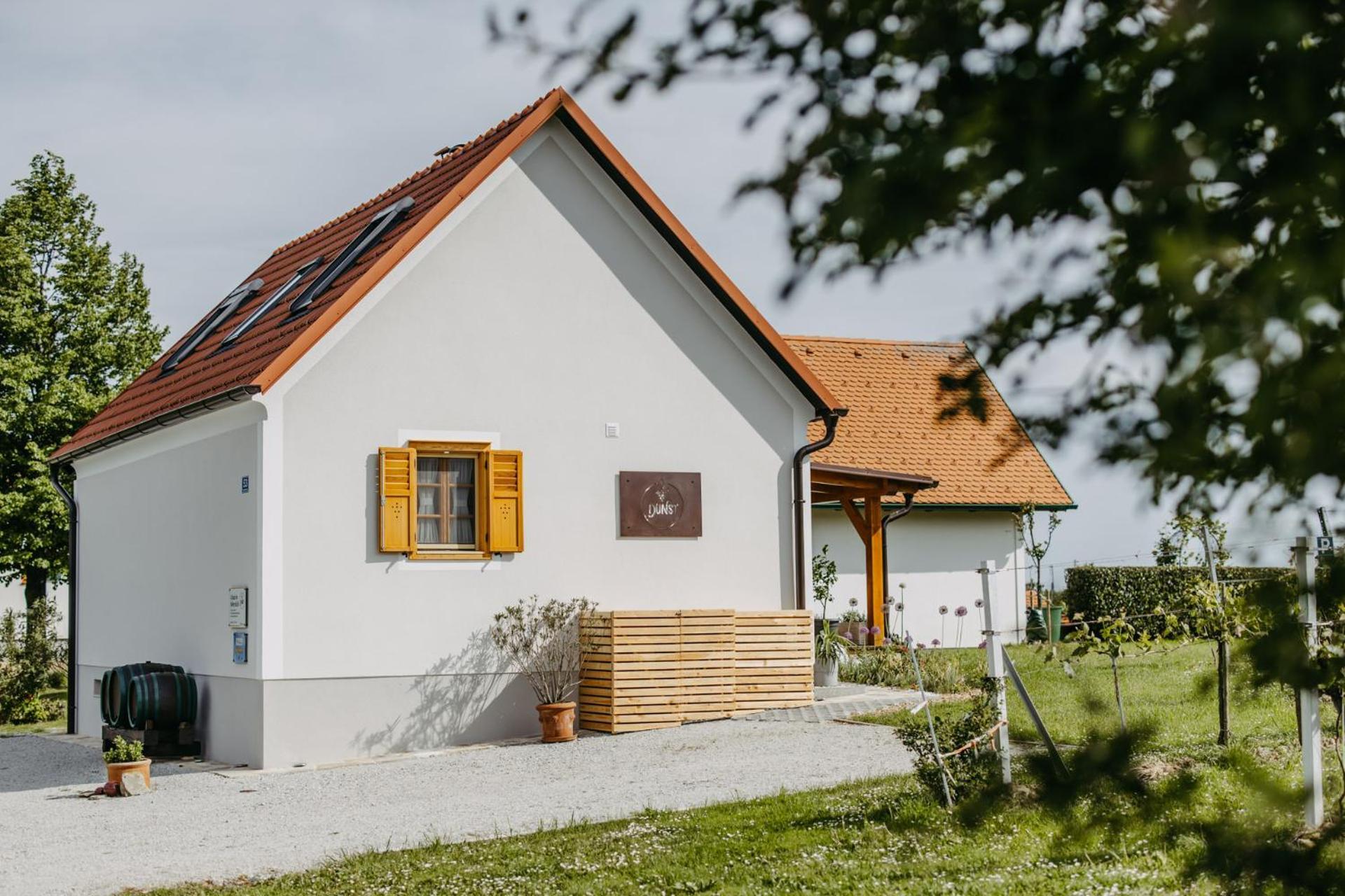 Urlaub Im Kellerstoeckl Dunst Apartment Strem Cameră foto
